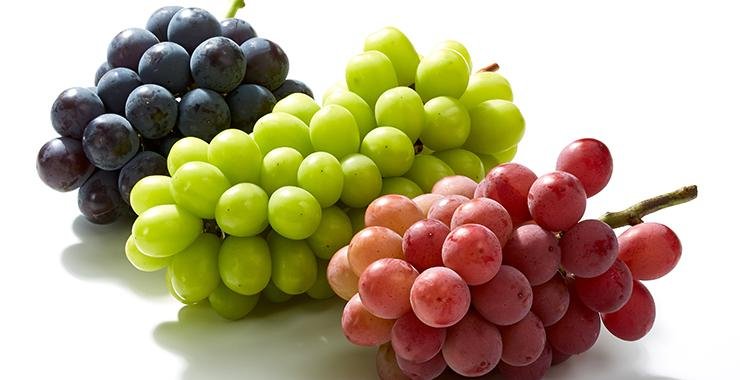 ふくしまの葡萄 | ふくしま市場|福島県産品オンラインストア