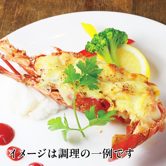 伊勢エビのボイル1尾