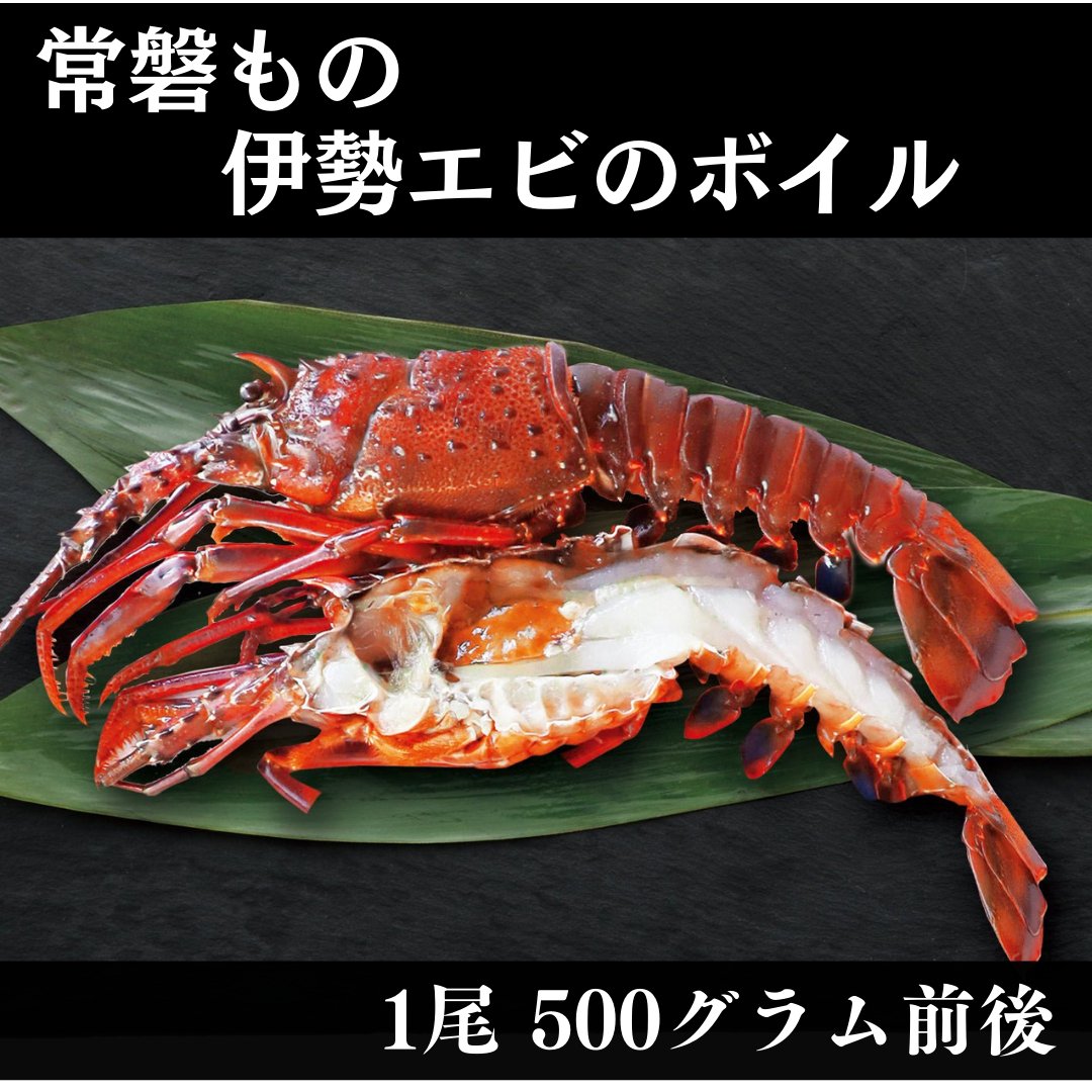 伊勢エビのボイル1尾 - ふくしま市場|福島県産品オンラインストア