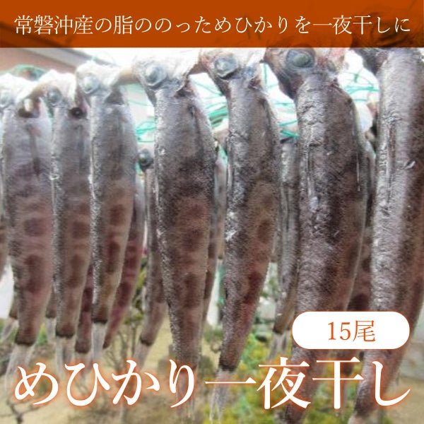 めひかり一夜干し15尾(5尾×3) - ふくしま市場|福島県産品オンラインストア