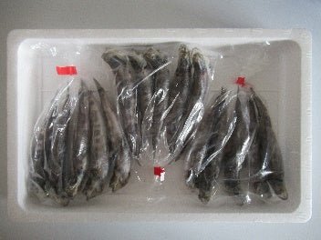 めひかり一夜干し15尾(5尾×3) - ふくしま市場|福島県産品オンラインストア