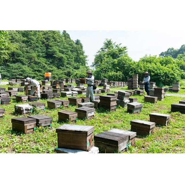 国産天然蜂蜜2本セット 各220g - ふくしま市場|福島県産品オンラインストア