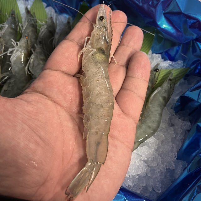 バナメイエビ(養殖)20尾(レシピブック付) - ふくしま市場|福島県産品オンラインストア