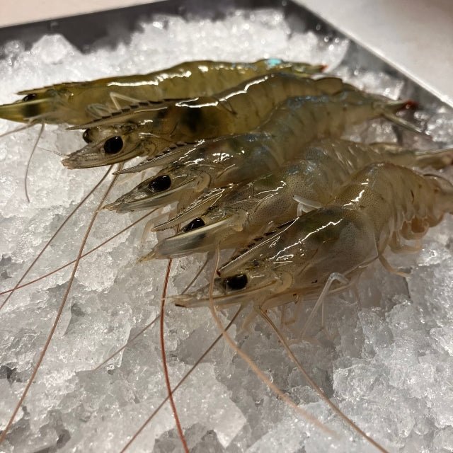 バナメイエビ(養殖)20尾(レシピブック付) - ふくしま市場|福島県産品オンラインストア