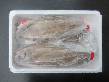 ヤナギガレイ一夜干し6枚 - ふくしま市場|福島県産品オンラインストア