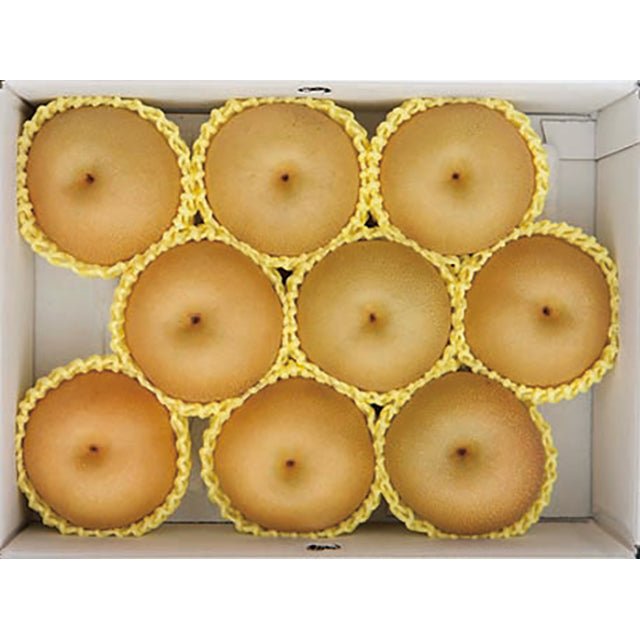 【予約受付】福島くだもの畑の梨(中箱)【8月下旬~9月下旬お届け】 - ふくしま市場|福島県産品オンラインストア