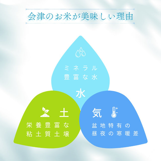 【令和7年産】会津産 コシヒカリ