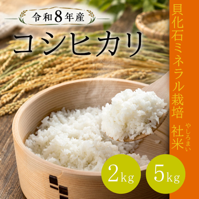 【令和8年産新米】貝化石ミネラル栽培 社米コシヒカリ 2kg/5kg【2026年10月~】