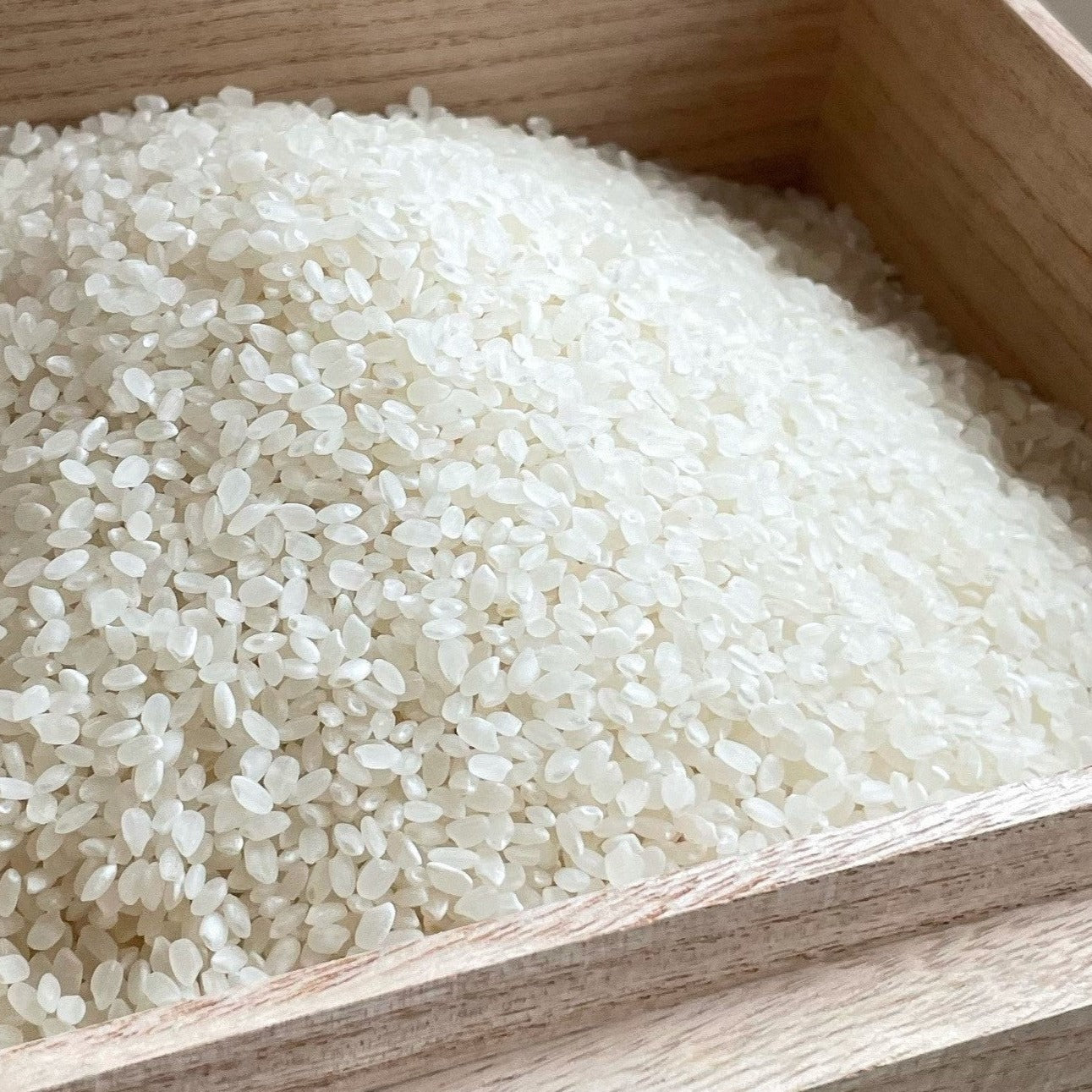 【令和7年産・新米】会津コシヒカリ特別栽培米 『米でいいの田゛』