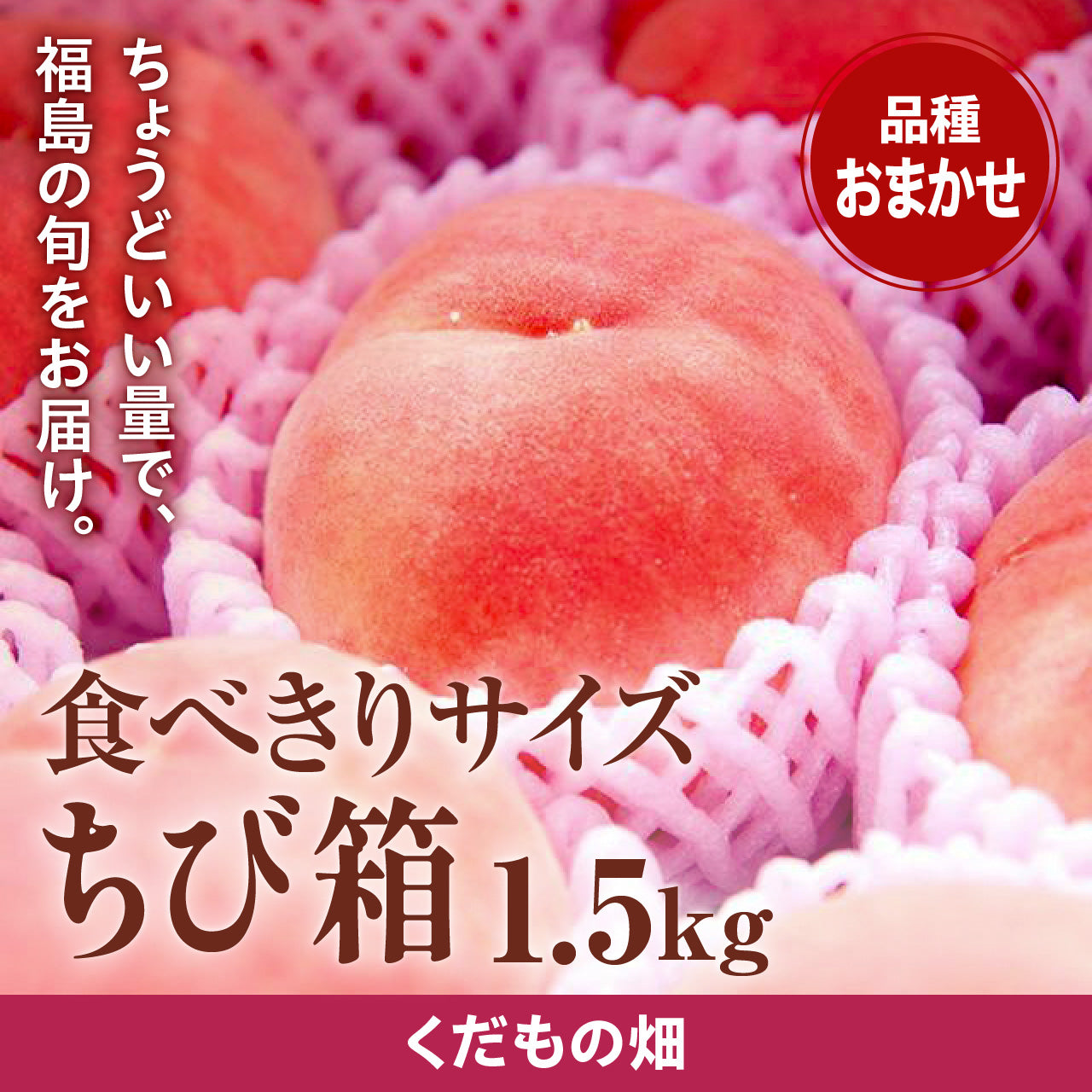 福島くだもの畑の桃 ちび箱1.5㎏ 【品種・配送日指定不可】