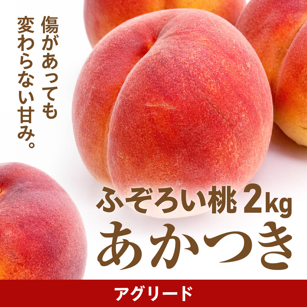完売】木村さんたちのわけあり・ふぞろい桃 あかつき【配送日指定不可・7月