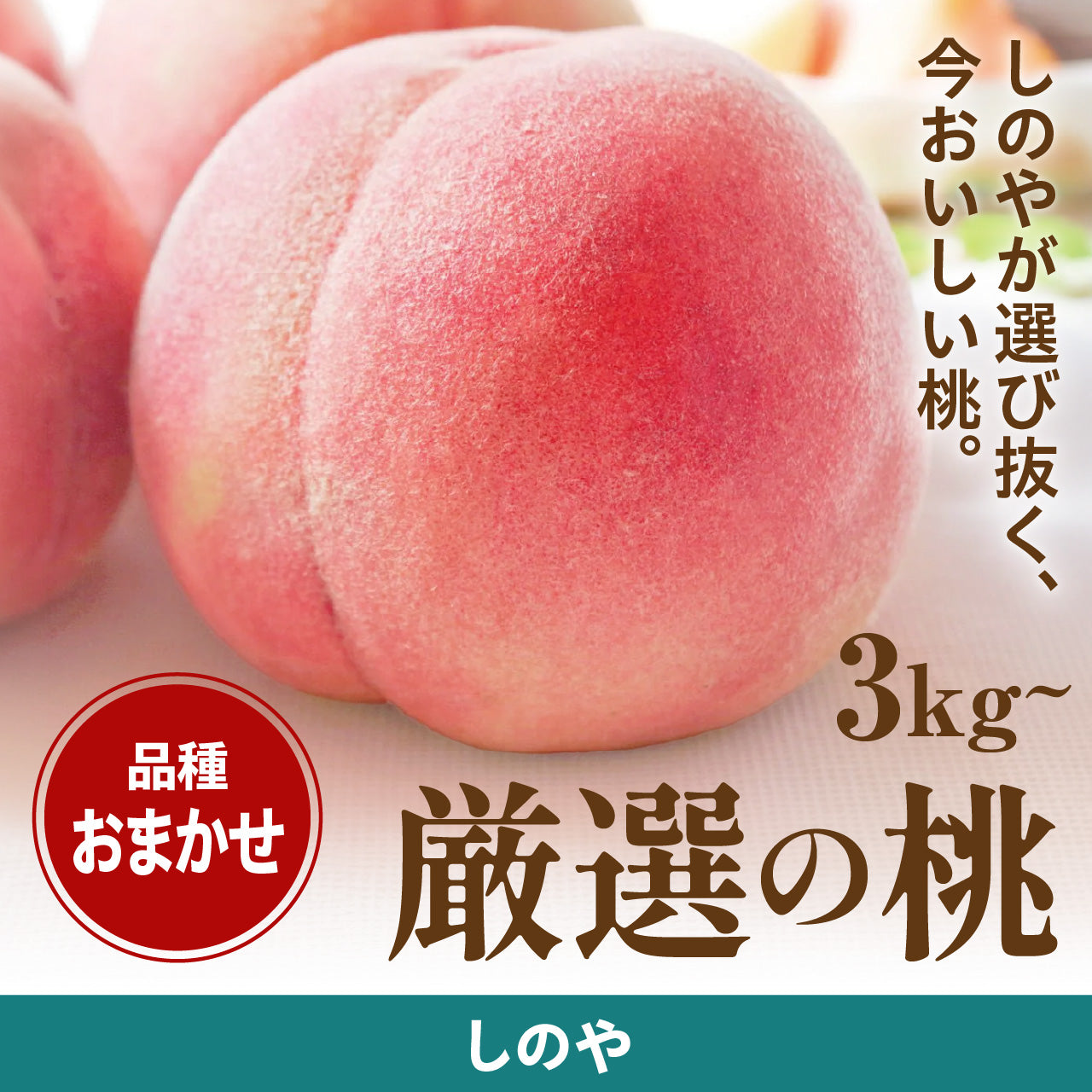 【予約受付】しのや 厳選の桃【お届けにお時間をいただきます/お届け日ご指定不可】