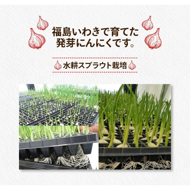 フクハウスおすすめ調味料ギフトセット
