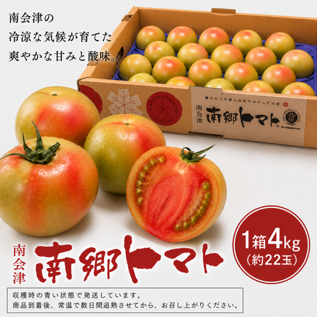 今季完売】南会津 南郷トマト
