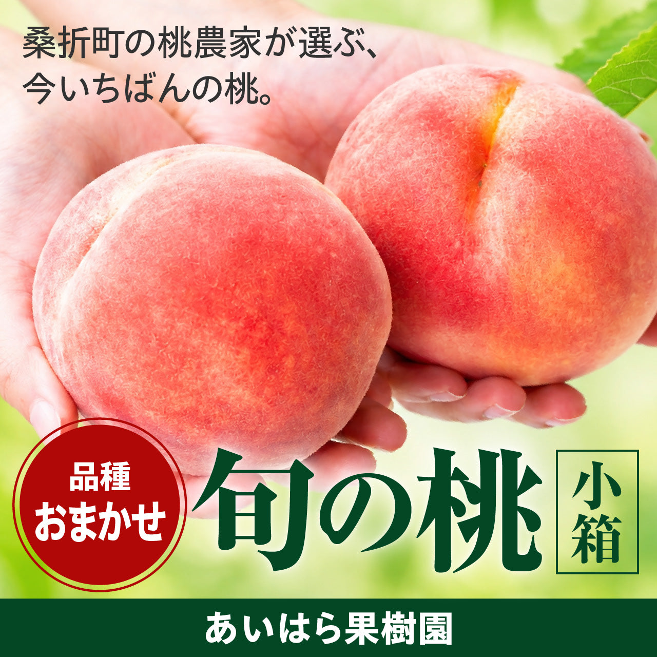 【入荷待ち】あいはら果樹園 旬の桃 (小箱)【品種・日時指定不可】