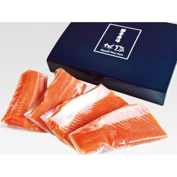 阿武隈川メイプルサーモン(お刺身用柵) - ふくしま市場|福島県産品オンラインストア