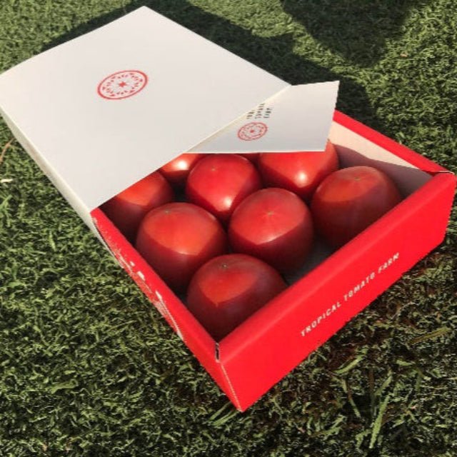 【入荷待ち】トロピカルトマトのプレミアムトマトセット (コピー) - ふくしま市場|福島県産品オンラインストア