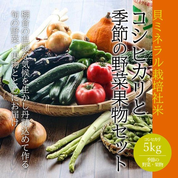 貝ミネラル栽培社米コシヒカリと季節の野菜果物セット【日曜・祝日出荷