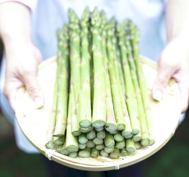 ちょこ　A品 Lサイズ詰め　会津産アスパラガス3kg　※6月1日以降発送 miuranouen_aizu-asparagus1kg-