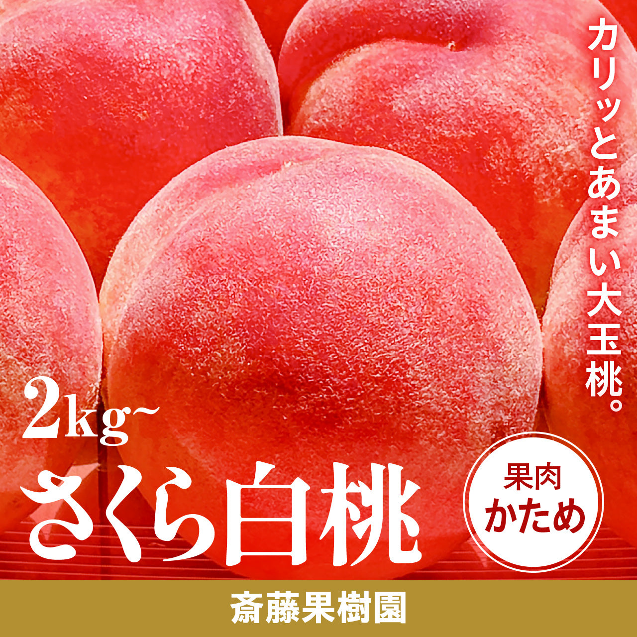 斎藤果樹園 さくら白桃【9月上旬~9月中旬発送/配送日指定・熨斗掛け不可】