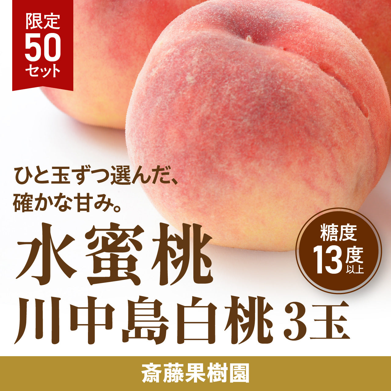 川中島水蜜桃 9.5kgクール便発送 完売】斎藤果樹園の水蜜桃 川中島白桃 3玉【8月中旬～発送／
