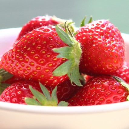 入荷待ち:2025年12月頃入荷【田村市】がもう農園 完熟いちご