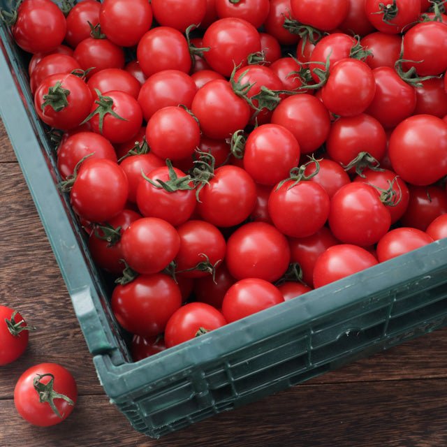 不揃いトマト1kg - ふくしま市場|福島県産品オンラインストア