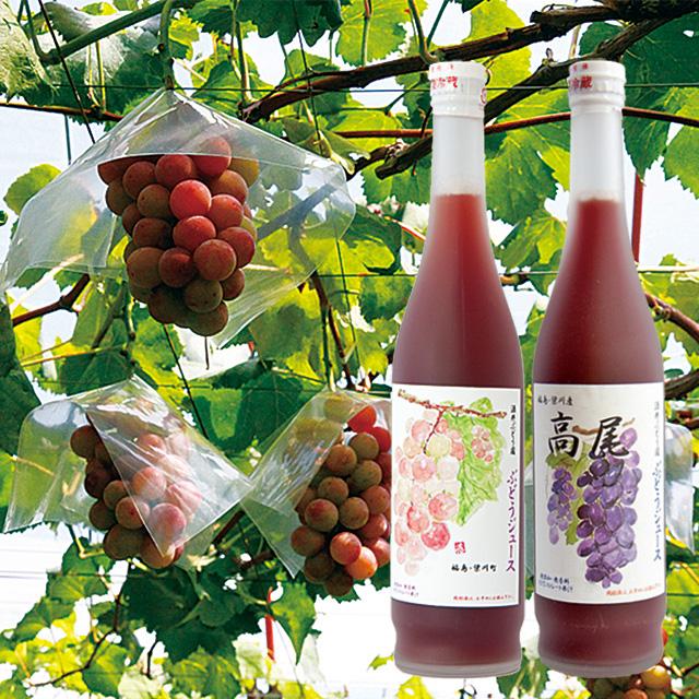 農家直売^ ^無添加ぶどうジュース６本セット Amazon.co.jp: ぶどうジュース 紙パック 1L 6本入り 無添加