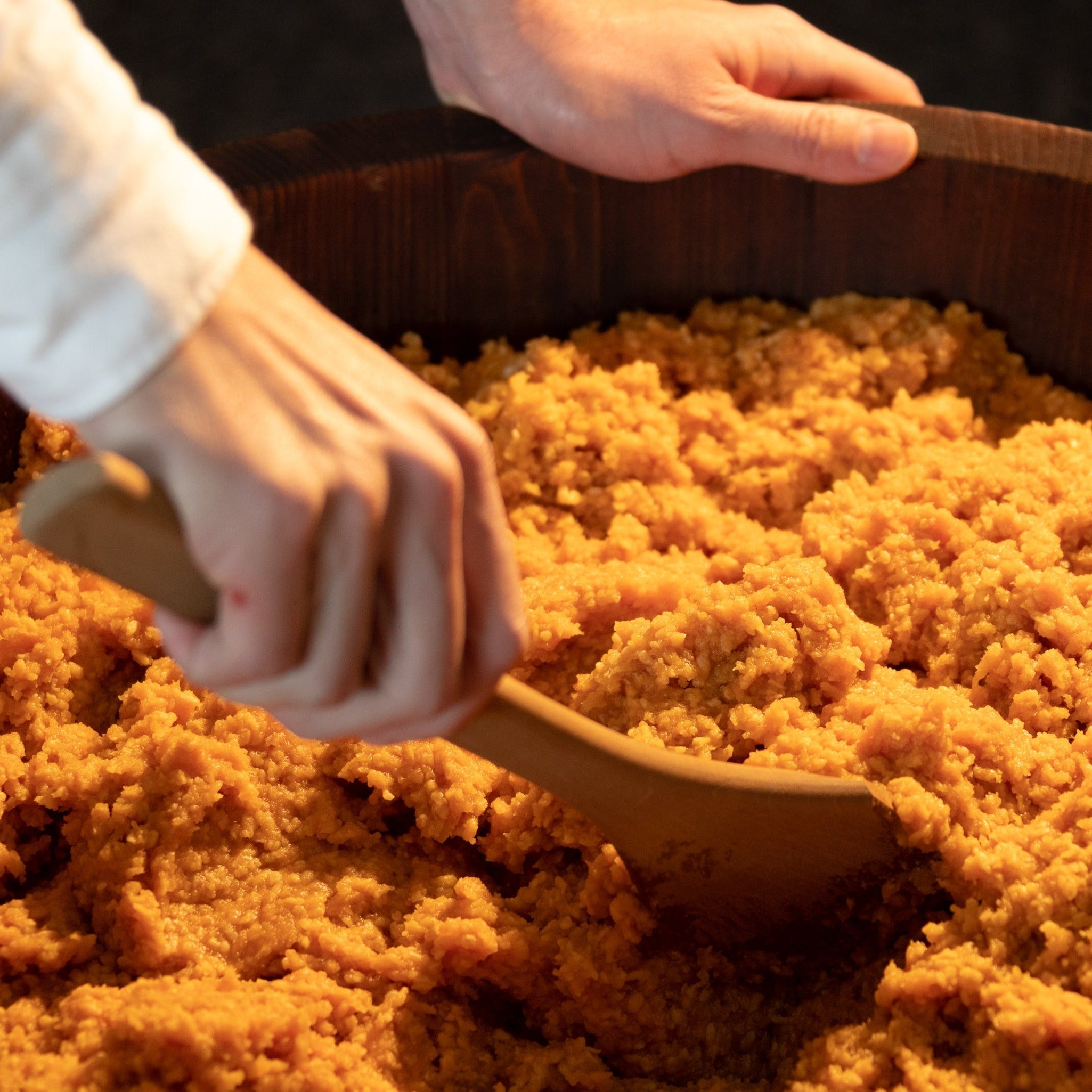 シオクリビト限定 お得な生みそ2種セット