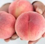 【数量限定】訳あり ちょいわる桃 3kg【無くなり次第終了】 - ふくしま市場|福島県産品オンラインストア