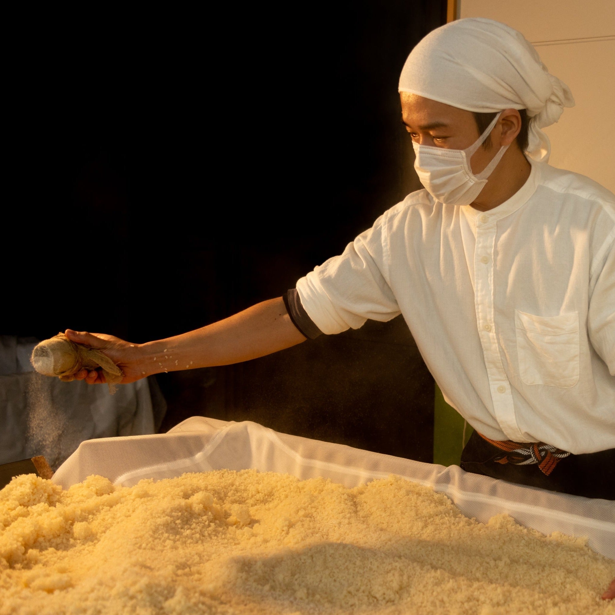 シオクリビト限定 お得な生みそ2種セット