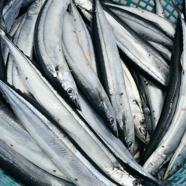 サンマのポーポー焼 大判5枚セット - ふくしま市場|福島県産品オンラインストア