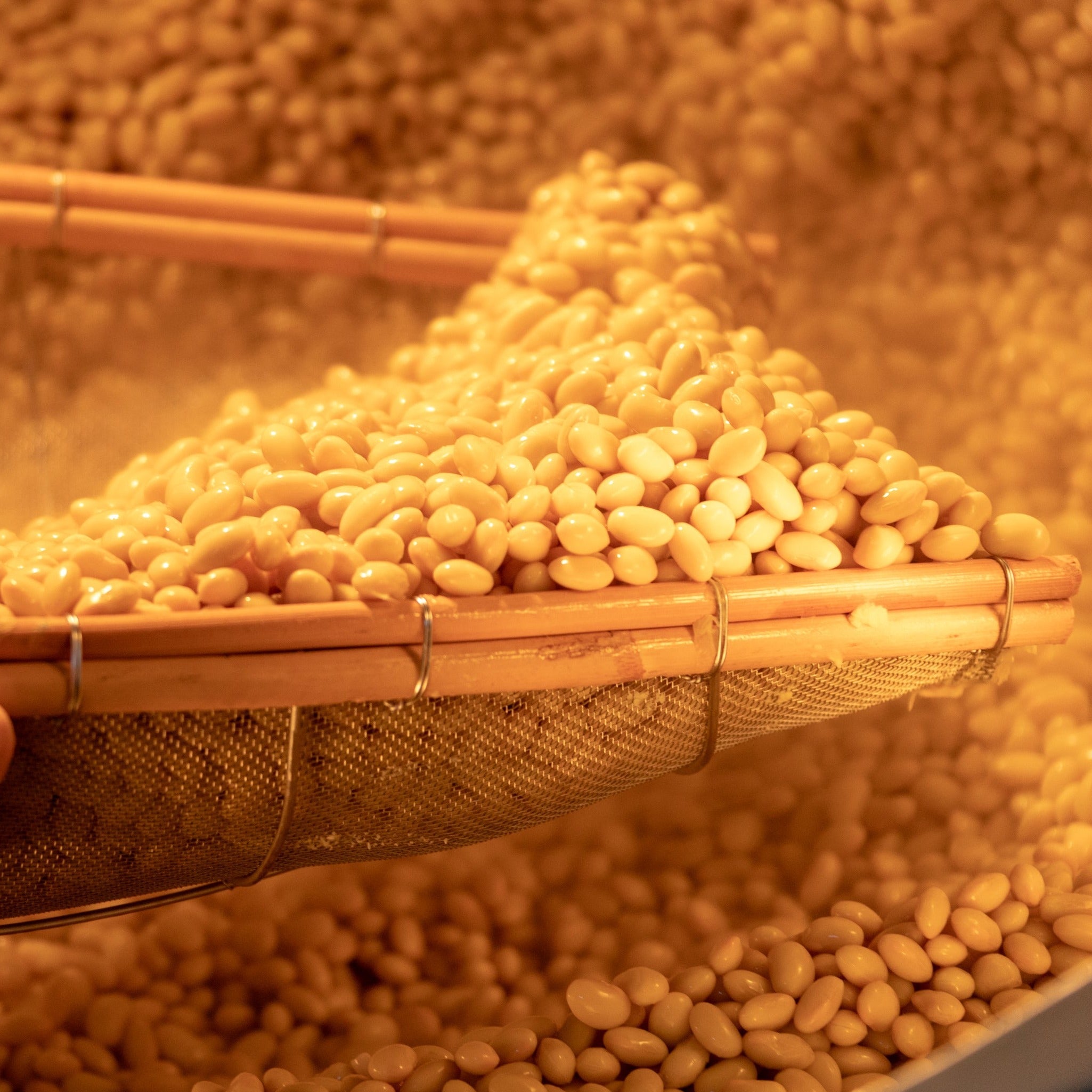 シオクリビト限定 お得な生みそ2種セット