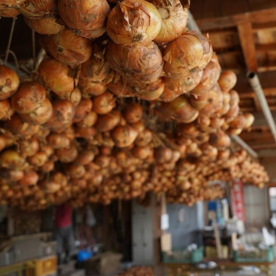 【期間・数量限定 会津野菜】慶徳たまねぎ【6月中旬~発送】 - ふくしま市場|福島県産品オンラインストア