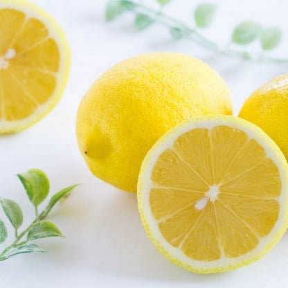 雪小町 特製 檸檬酒720ml - ふくしま市場|福島県産品オンラインストア