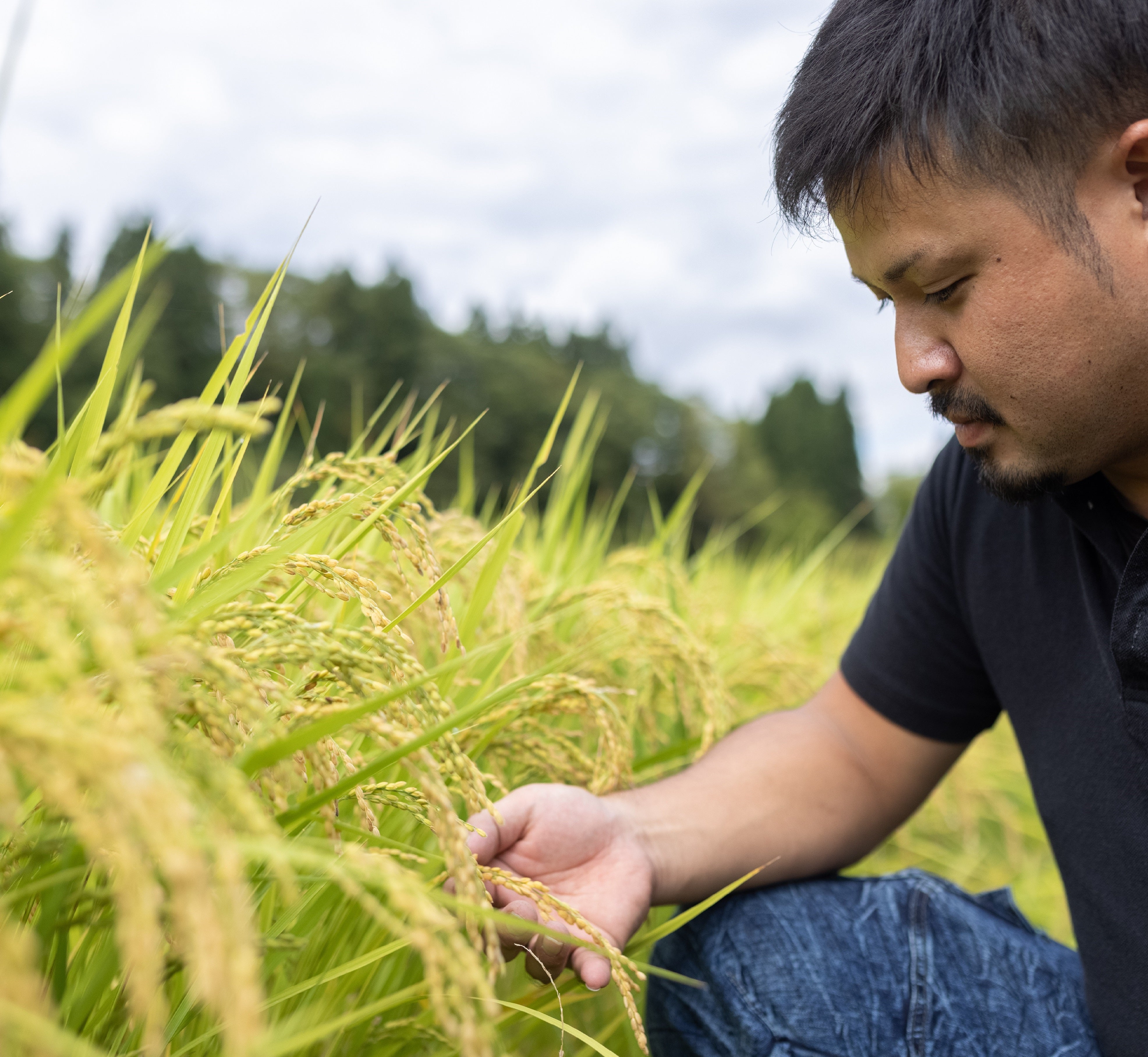 【令和7年産・数量限定】西会津 ミネラル元氣米 5kg【11月下旬~発送】