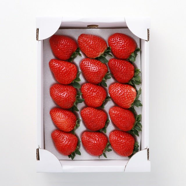 【期間限定】玉川村産おいCベリー - ふくしま市場|福島県産品オンラインストア