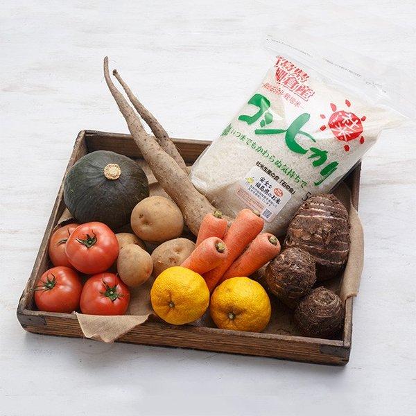 貝ミネラル栽培社米コシヒカリと季節の野菜果物セット - ふくしま市場|福島県産品オンラインストア