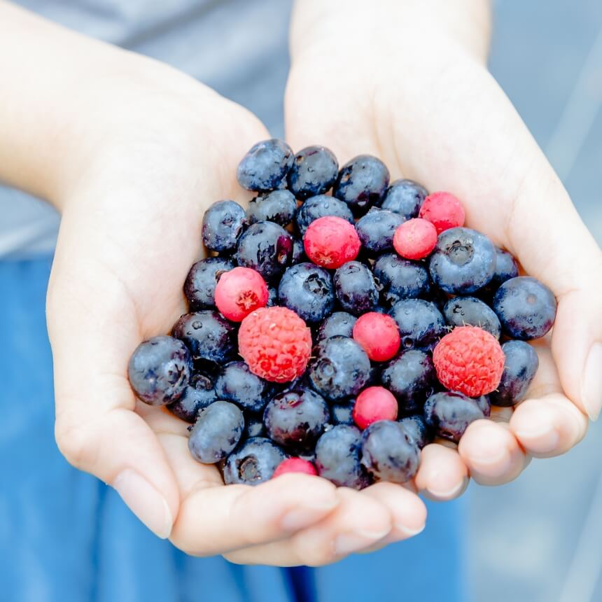 フルーツティセット - ふくしま市場|福島県産品オンラインストア
