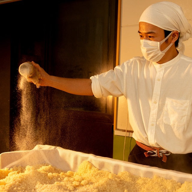 生きた酵素の発酵食品セット(生みそ&生甘酒)