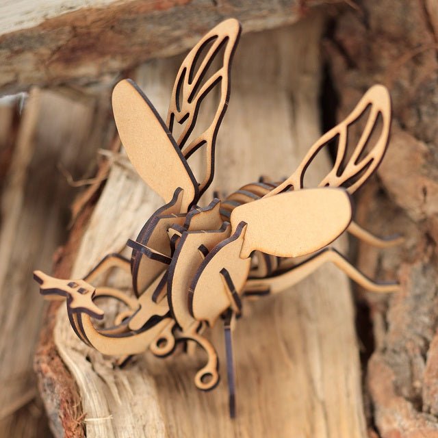 【田村市】ムシキットセット(カブトムシ・クワガタ) - ふくしま市場|福島県産品オンラインストア