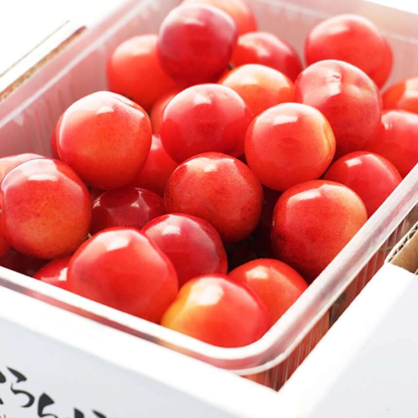 季節の羽山高原果樹 定期お届け便セット - ふくしま市場|福島県産品オンラインストア