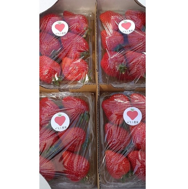 がもう農園 完熟いちご - ふくしま市場|福島県産品オンラインストア