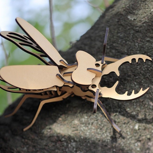 【田村市】ムシキットセット(カブトムシ・クワガタ) - ふくしま市場|福島県産品オンラインストア