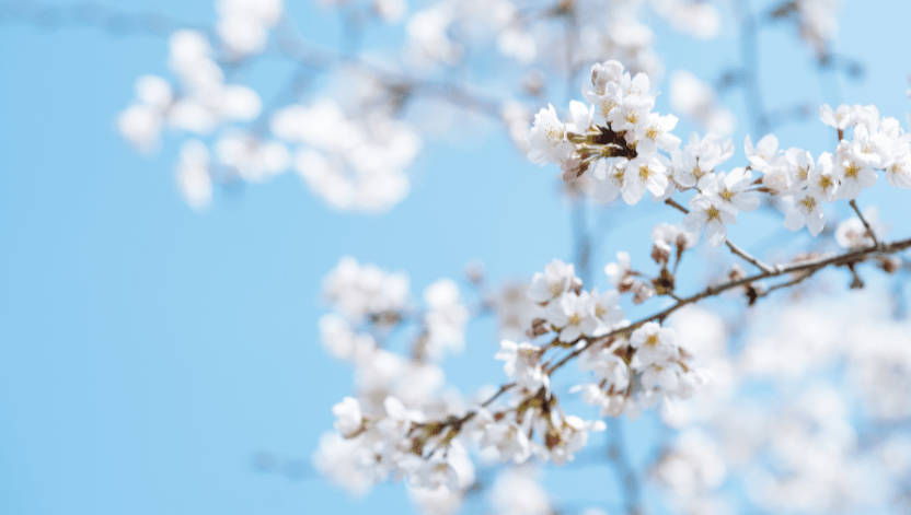 東日本大震災から15年 - ふくしま市場｜福島県産品オンラインストア