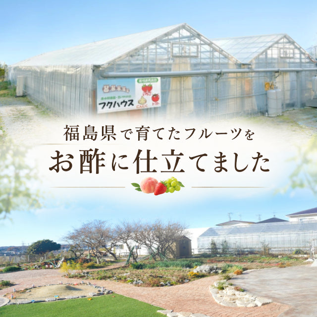 選べる！福島県産くだものの飲むフルーツ酢（３本・５本セット）