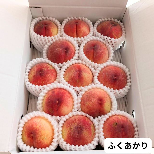 【入荷待ち】訳あり ちょいわる桃 3kg【熨斗掛け不可】