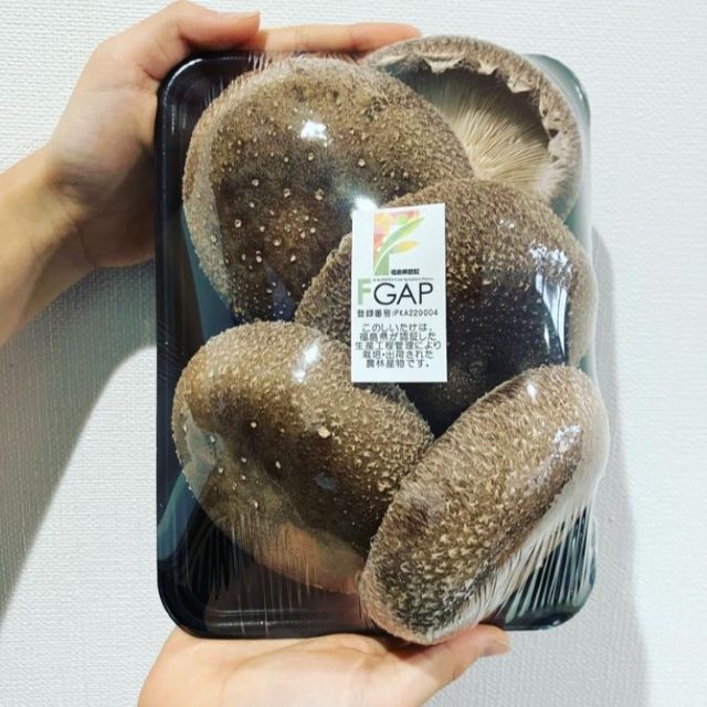 ジャンボしいたけ5個入り【ふくしまそのまままーけっと】 - ふくしま市場｜福島県産品オンラインストア