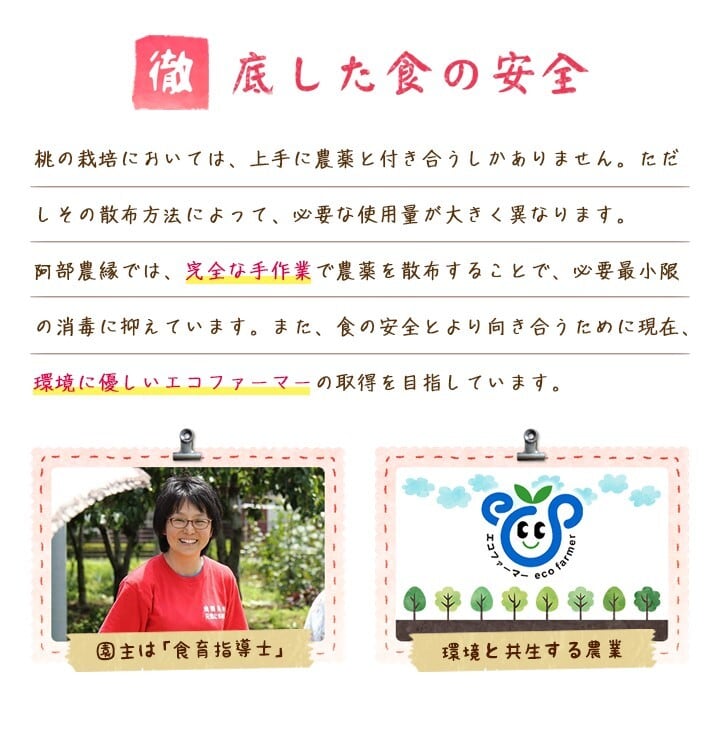 果樹園の完熟桃のコンポート500g【冷凍・不揃い】 - ふくしま市場｜福島県産品オンラインストア