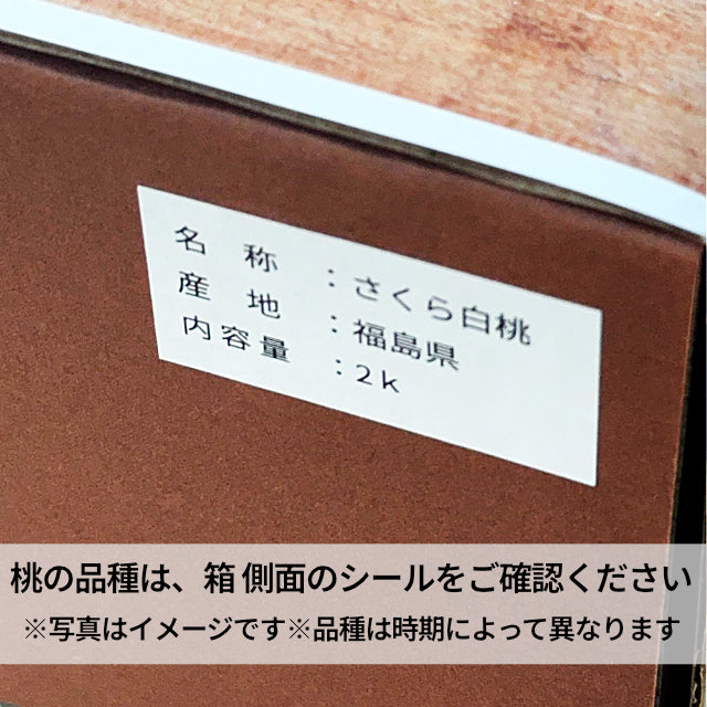 木村さんたちのわけあり・ふぞろい桃　品種おまかせ【配送日指定不可・8月中旬～】